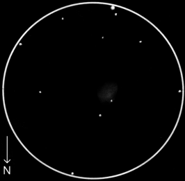 NGC 613,  60mm refractor, x40