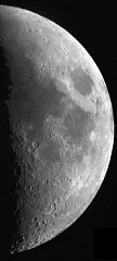 Lune L Pignoloni L60/800